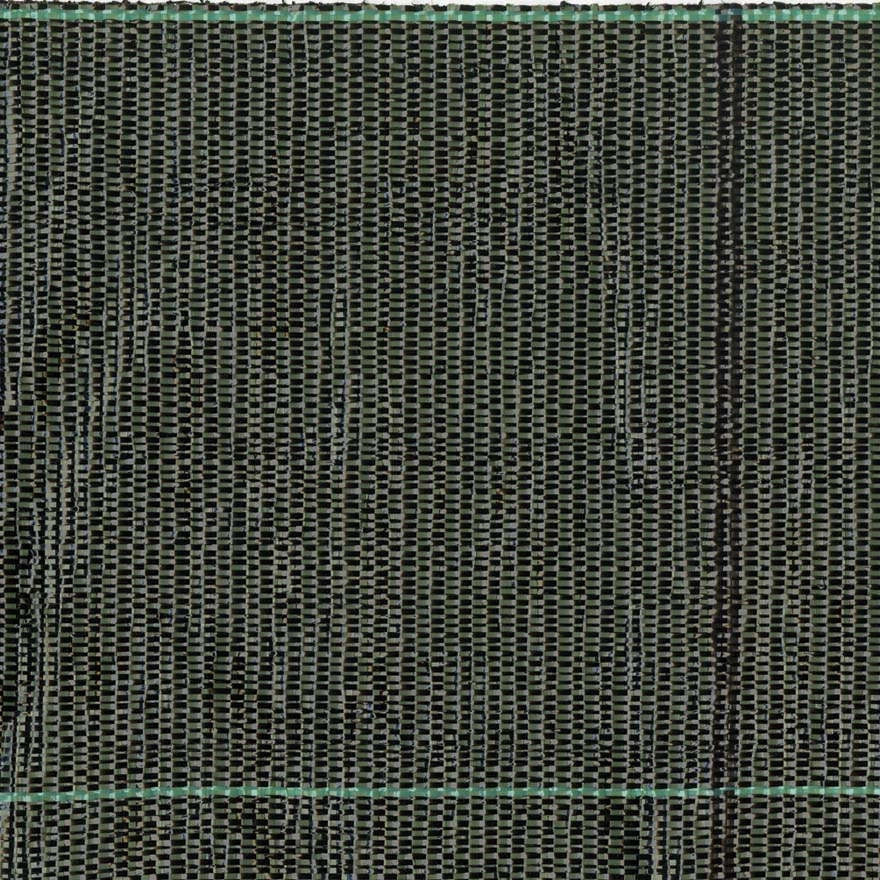 Telo Pacciamatura da Giardino in Polipropilene 1,65x100m Rama Ground Nero e Verde