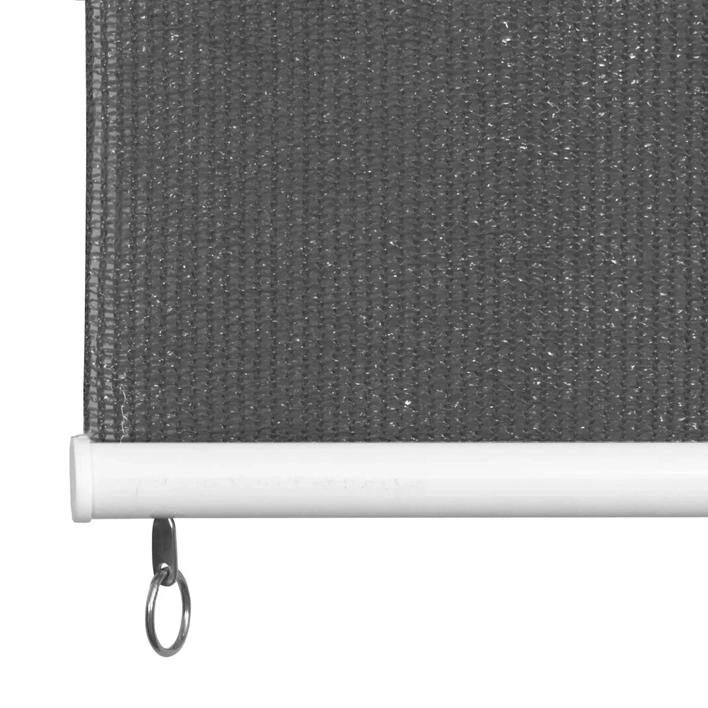 Tenda a Rullo per Esterni 225(L)x230(A) cm Antracite 43499