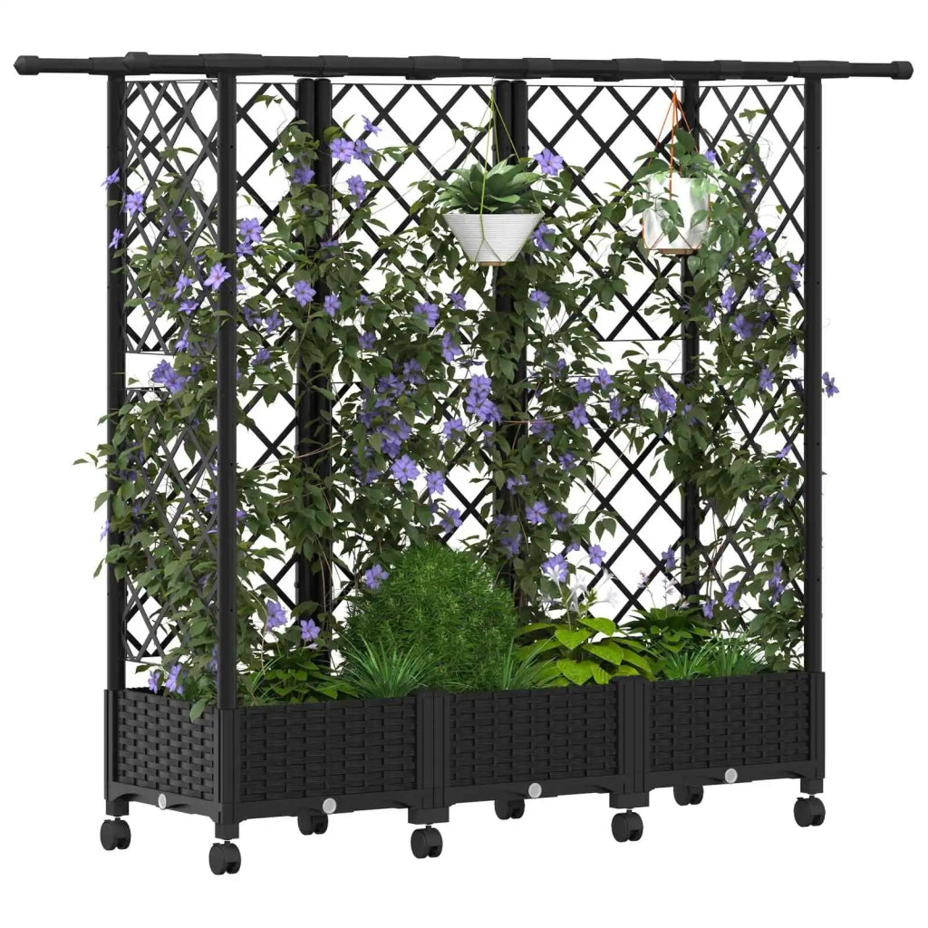 Letto Rialzato con Griglia e Tetto Nero 164 x 40 x 127 cm PP 3423121