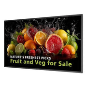 43 monitor uhd 24/7 600 nits - 43BDL5050D/00
