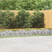 Gabbione ad Arco con Letto Rialzato 800x100x50 cm Ferro Zincato 153553