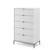 Vicco Cassettiera Bianco 42 x 120 cm con 5 cassetti