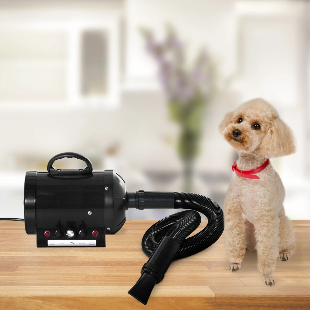 Asciugacapelli per Cani 2800W con Temperatura Regolabile ¨C zephmum ¨C 40x16x20 cm Nero