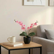 Pianta di Orchidea Artificiale Rosa 36 x 10 x 30 cm 42042078