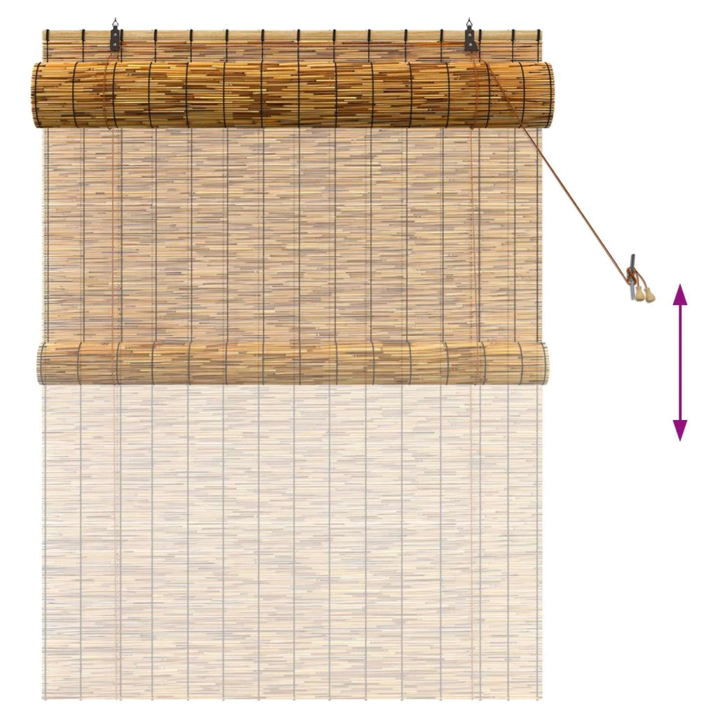 Tenda a rullo Marrone 120 x 160 cm Giunco 42034656