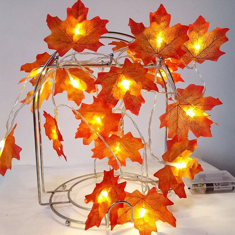 CATENA GHIRLANDA LUMINOSA 2 METRI 10 LED HALLOWEEN A BATTERIA AUTUNNO LUCI