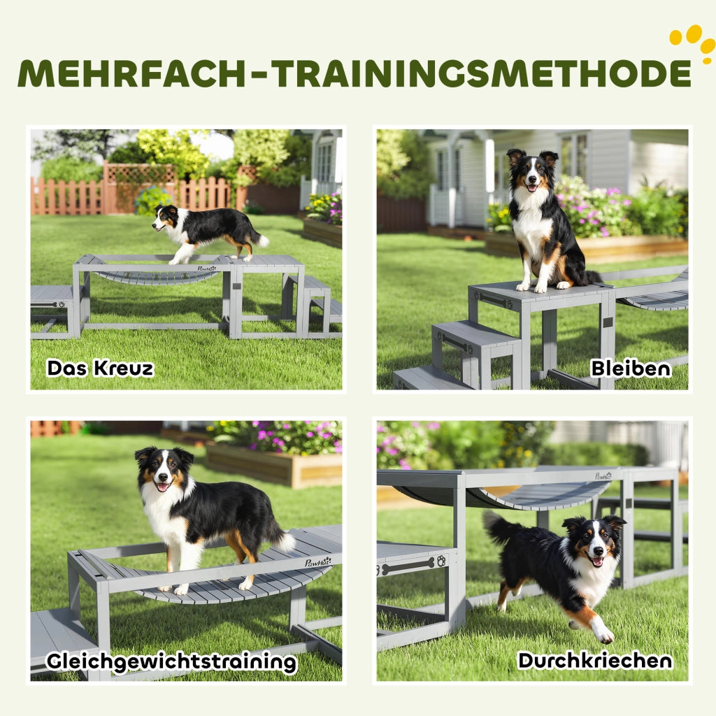 Set Agility per Cani ¨C zephmum ¨C Grigio, Legno di Abete, 117x50x56 cm