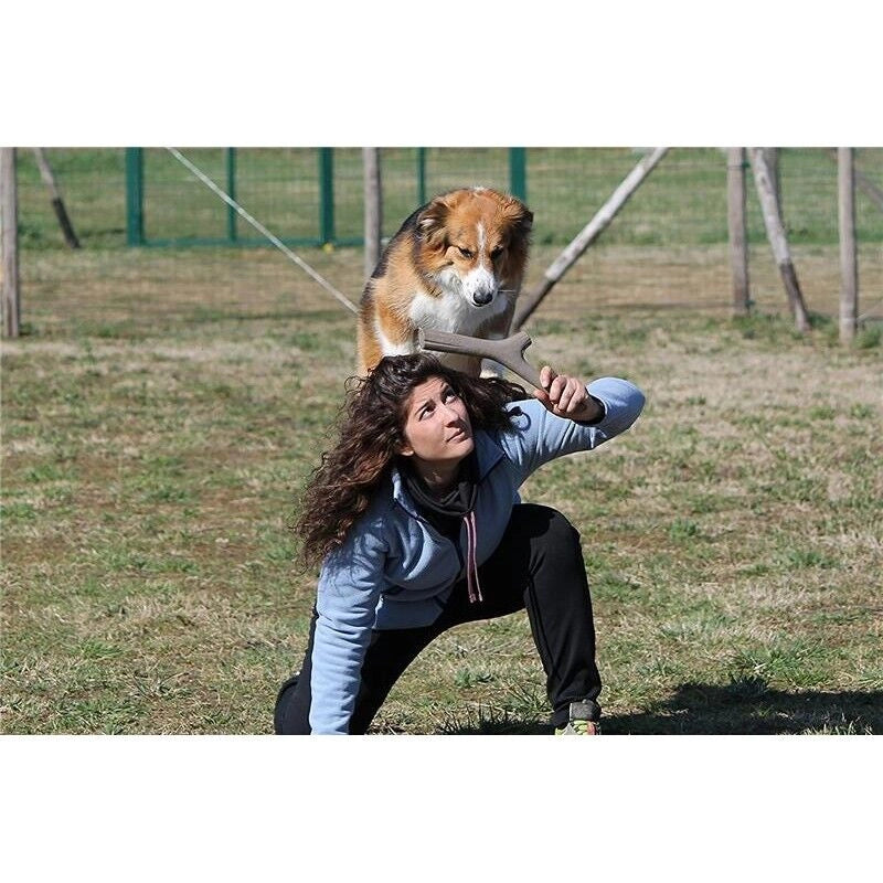 BAMA TUTTO MIO MINI GIOCO PER CANI
