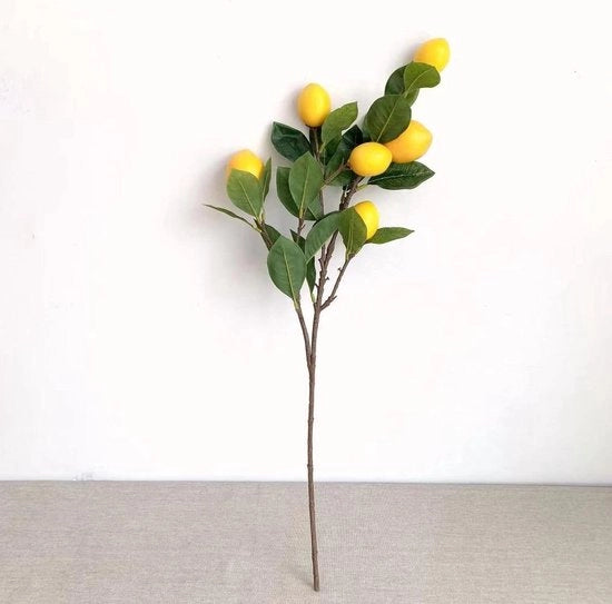 Tappeto Finto Limone - Finto Ramicello di Limone - Asta Lunga 65cm - Pianta Verde - Decorazione per Sala da Pranzo, Festa di Matrimonio.
