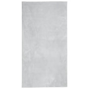 Tappeto del soggiorno | Tappeto a Pelo Corto HUARTE Morbido e Lavabile Grigio 80x150 cm