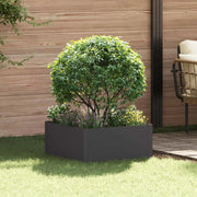 Bordura per Prato 60 x 60 x 35 cm Acciaio Nero 8008917