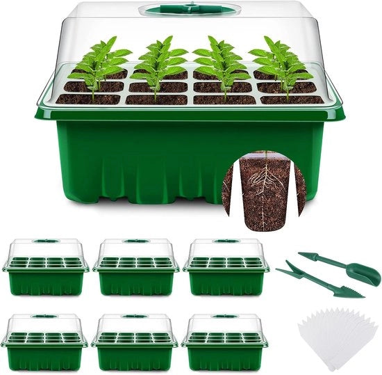 Set di propagazione per semi - ideale mini-bolle per semi - 6 pezzi