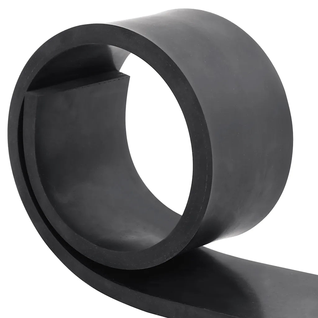 Bordo in Gomma per Spazzaneve Nero 80x10x1 cm CFW5804536