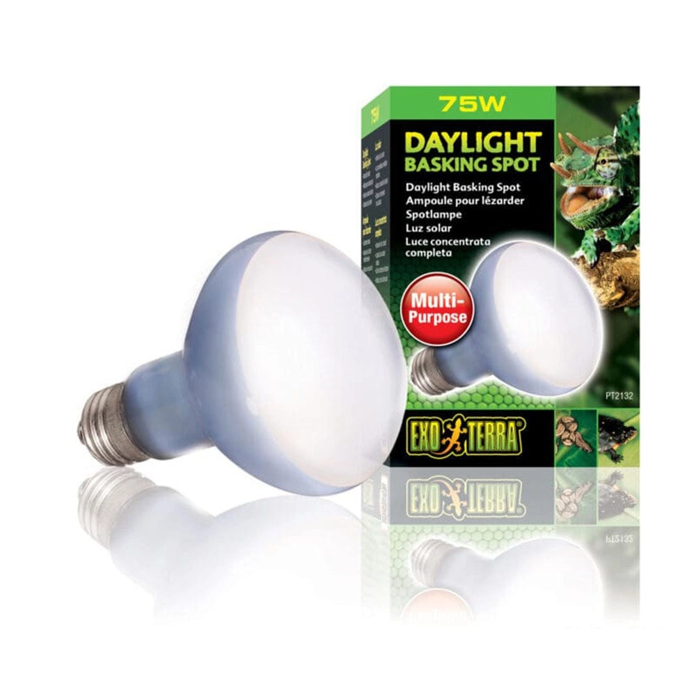 ExoTerra Daylight Basking Spot - lampada al Neodymium ad ampio spettro Wattaggio Riscaldatori e lampade terrario: 75W