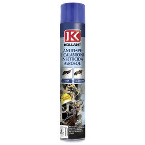 INSETTICIDA ANTIVESPE E CALABRONI AEROSOL 750 ML- 12,0 pz