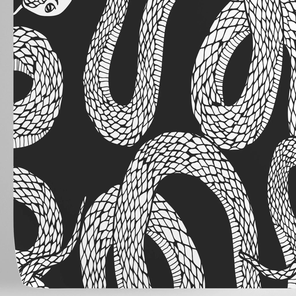 Carta da Parati Serpenti Bianca e Nera Carta Vegana 250x200cm 5,5mq 