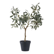 Pianta Artificiale Ulivo, Verde, Plastica PE, 36,5x22,5x61 cm