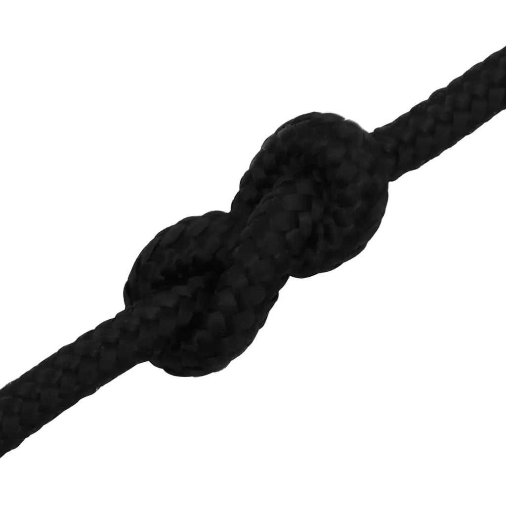 Corda da Lavoro Nera 10 mm 250 m in Poliestere 152825