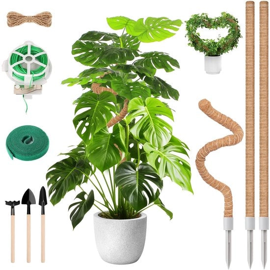 Supporti per piante in plastica flessibile da 3 pezzi 120 cm/60 cm - Supporti per piante per piante rampicanti - Pali per piante in cocco - Inclusi attrezzi da giardino e corda - Supporti per piante