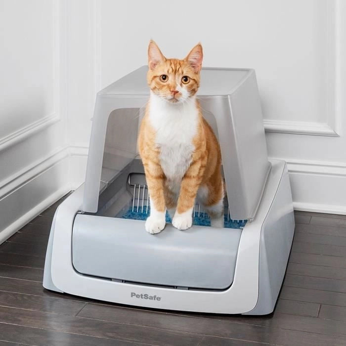 PETSAFE - Coperchio + Lettiera - AUTO SCOOPFREE 1.5