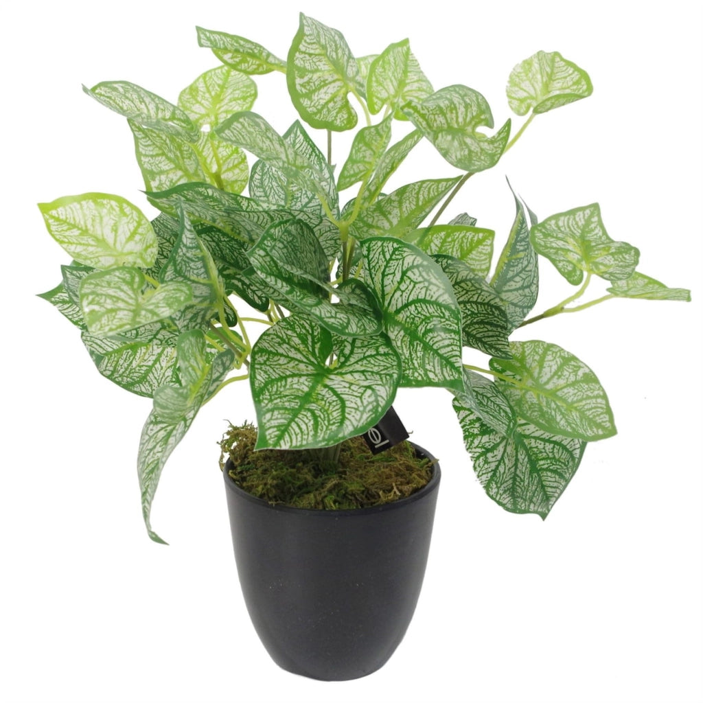 Pianta artificiale, altezza 40 cm, con vaso, aspetto realistico