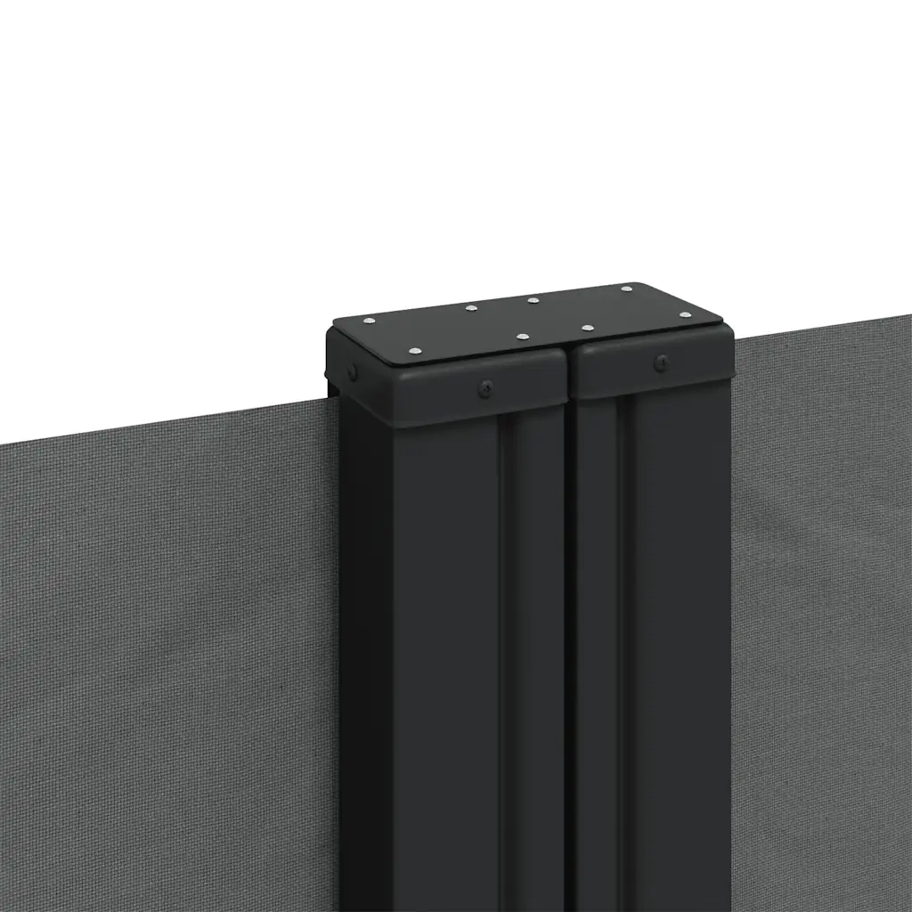 Tenda da Sole Laterale Retrattile Antracite 220x1000 cm 4004778