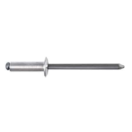 RIVETTO A STRAPPO 4,8x12 mm - 100 pezzi- TECFI