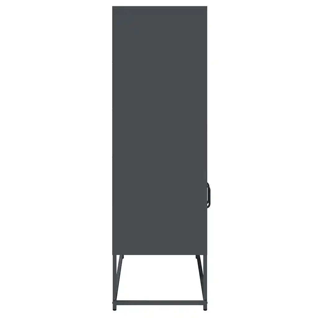 Credenza | Madia | Buffet da pranzo | Armadio da pranzo Antracite 68x39x123 cm Acciaio