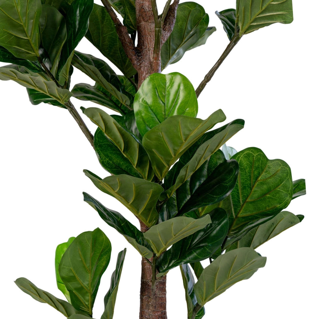 Pianta Artificiale Ficus Lyrata, Verde, Polietilene, 81x93x190 cm