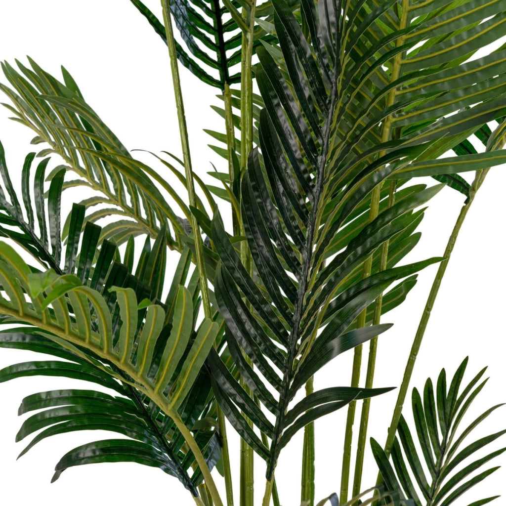 Pianta Artificiale Areca, Verde, Polietilene, 64x64x175 cm