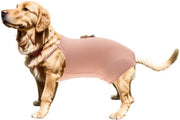Luiere per Cani Adattabile - Lavabile/Rinnovabile - Assorbente - per Piccoli/Medie Taglie - Comodo/Coton - Soluzione Igienica Economica - Luiere per Cani