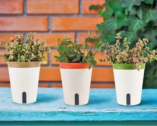 Piantine da bonsai autoirriganti 145 cm - vaso di giardino fiori - finestra del livello dell'acqua, foro di scarico - 3 pezzi