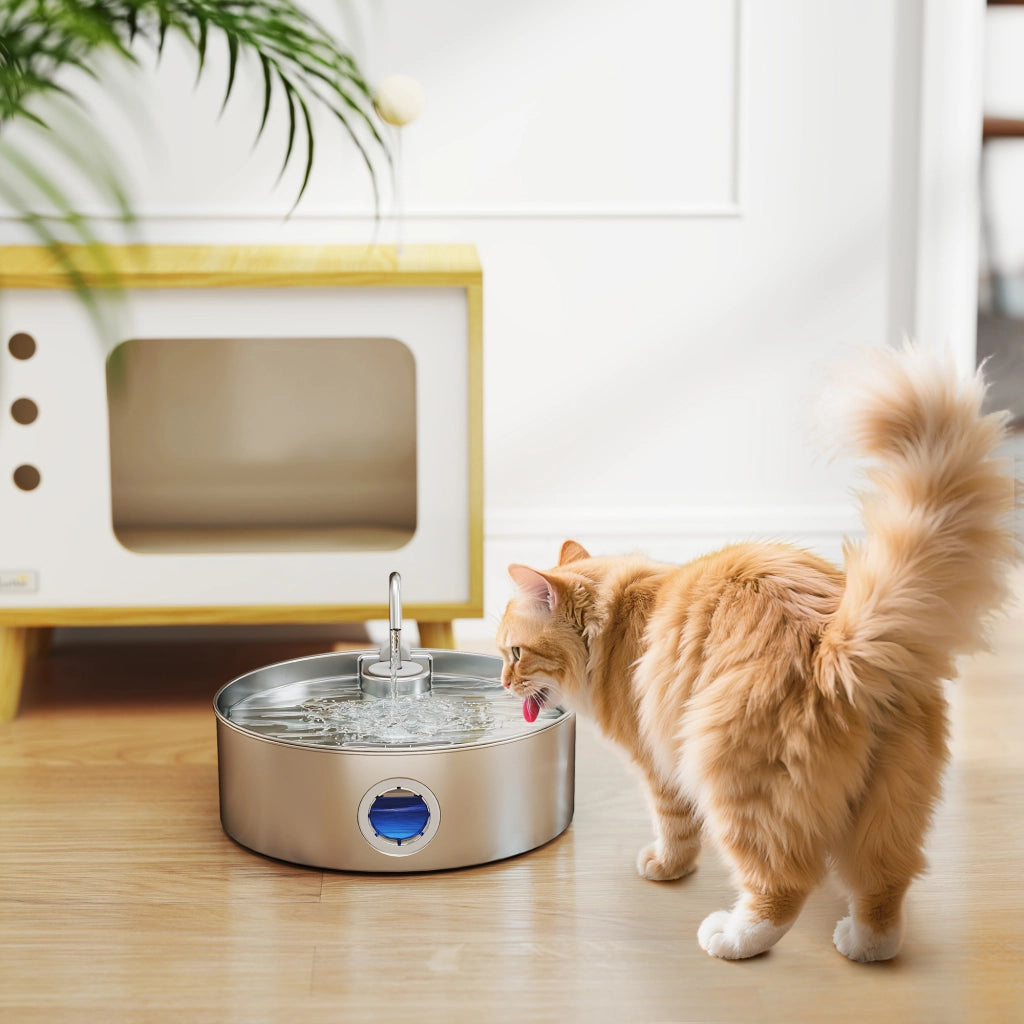 Fontana per Gatti in Acciaio Inox 7L ¨C Xylo ¨C Silenzioso Automatico con Filtri