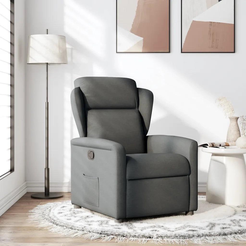 Divano Sedia-Poltrona Reclinabile in Tessuto Grigio Scuro 739194