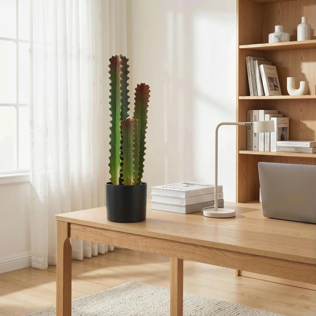 Cactus Artificiale Verde con Vaso 66 cm ¨C zephmum ¨C Decorazione Interni