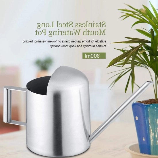 Spruzzatore in acciaio inossidabile per esterni con bocca lunga - piccola vaschetta per disegno di stuoia per piante in vaso, irrigazione di piante verdi