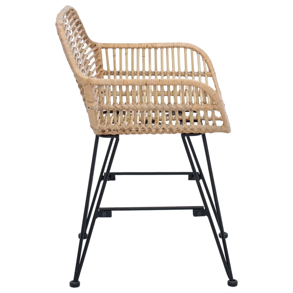 Sedia da pranzo 2 pcs Rattan e Ferro Naturale 55 x 50 x 74 cm