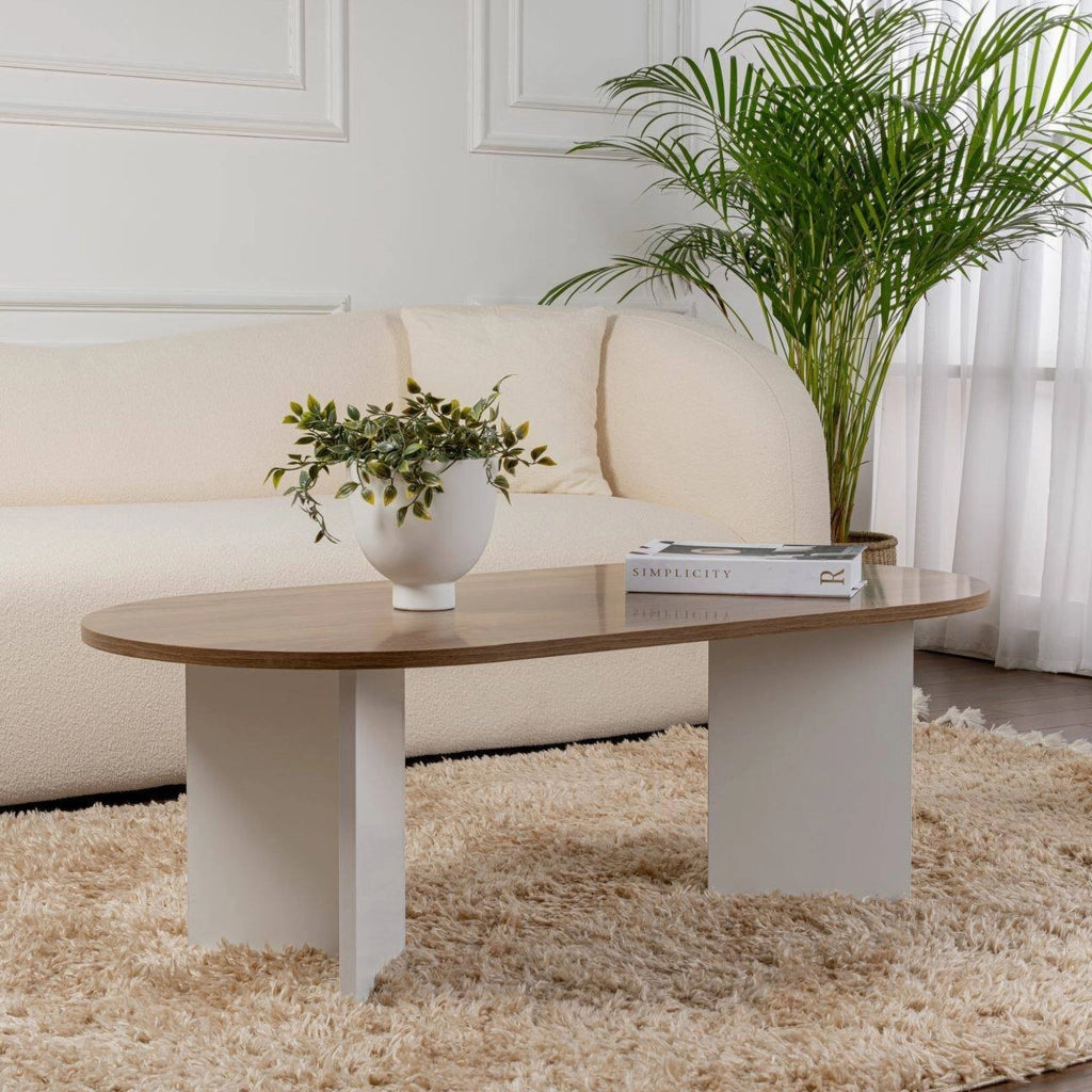 Tavolino da salotto Elain, Tavolo basso da caffè, Portariviste per divano, Ripiano da soggiorno, 119x60 h40 cm, Noce e Bianco
