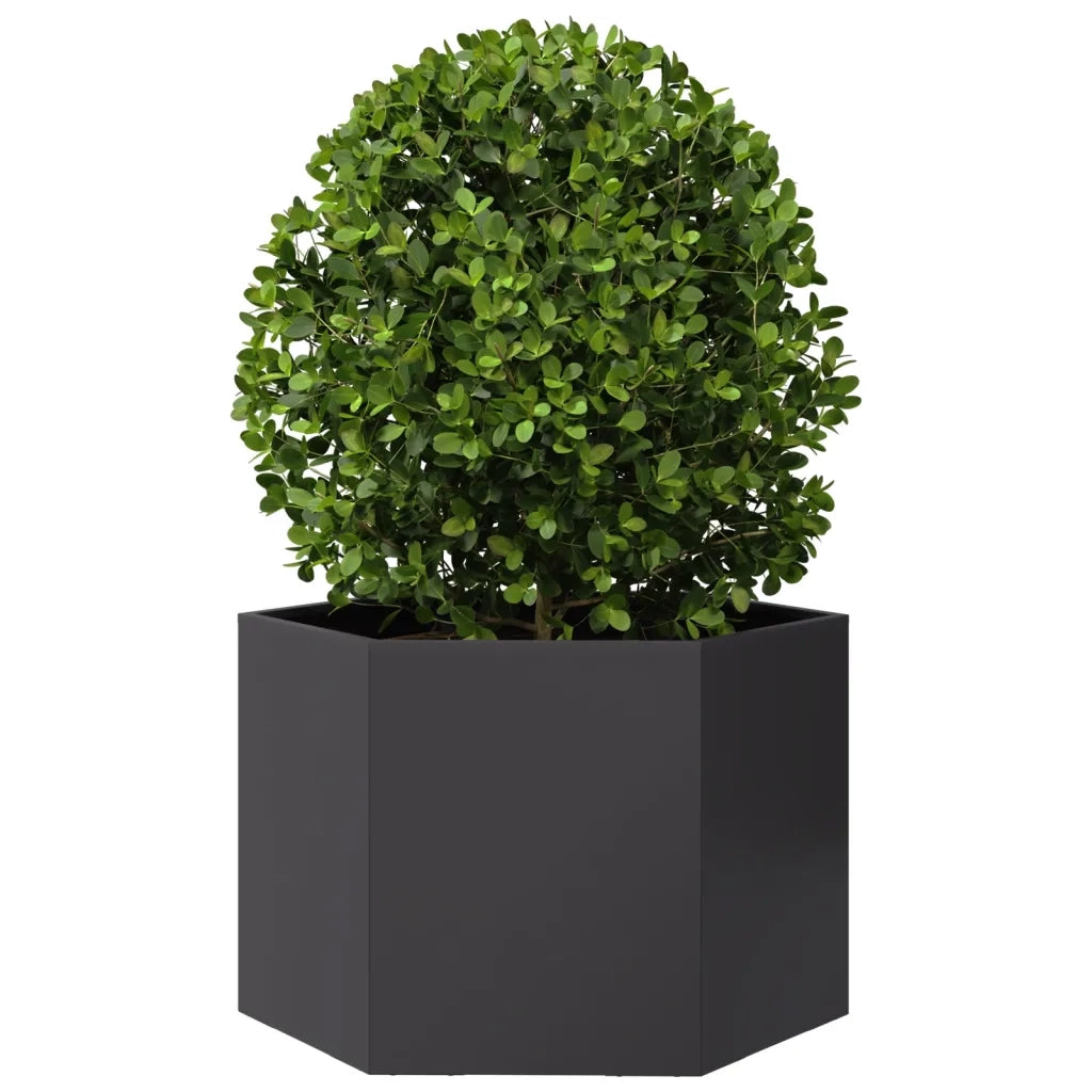 Fioriera da Giardino Nera Esagono 69x60x45 cm in Acciaio 851122