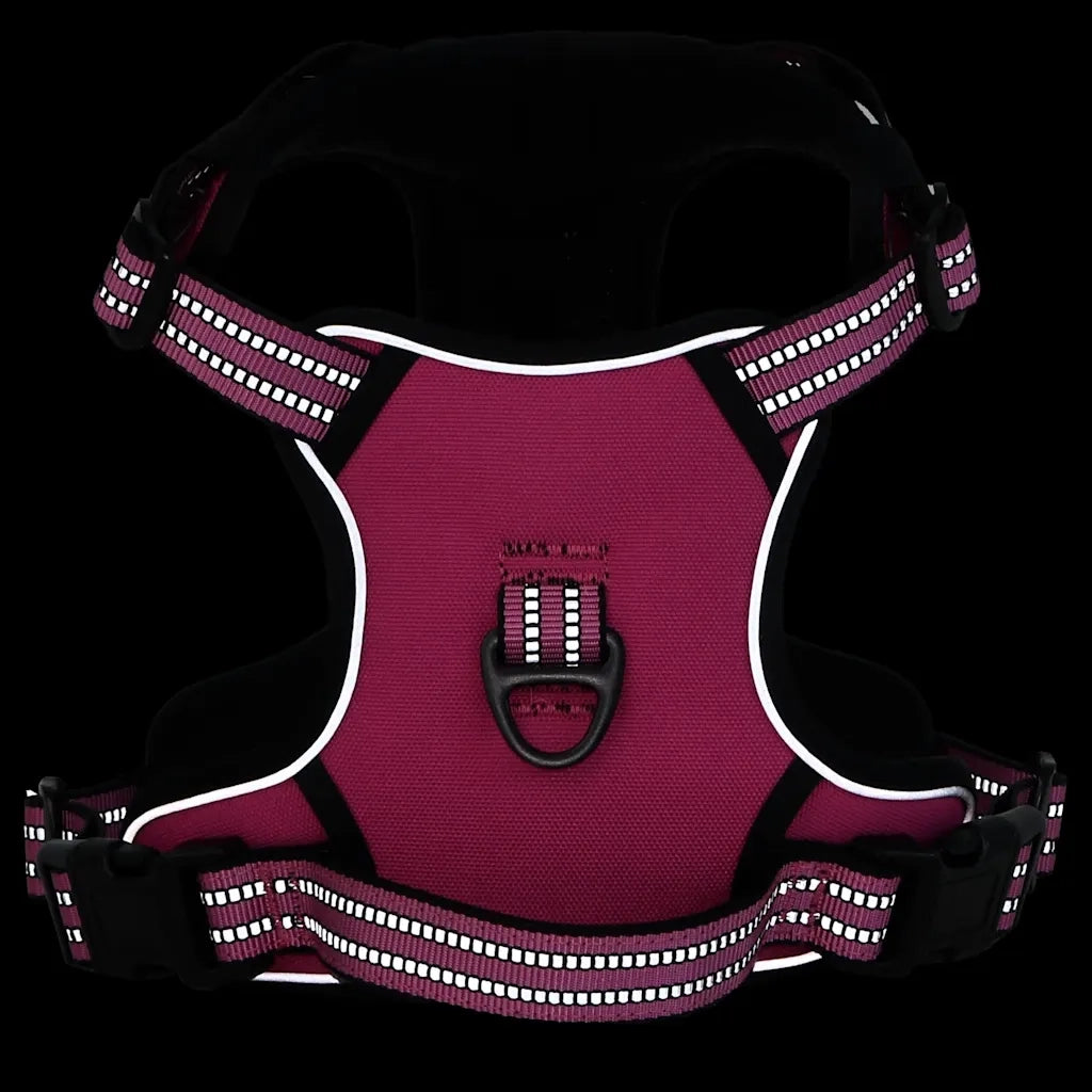 Pettorina per Cani con Guinzaglio e Collare Regolabile Rosa L 4013394