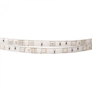 Striscia LED RGB+CW 5m 14,4W/m 12V IP65 dimmerabile Ecolight