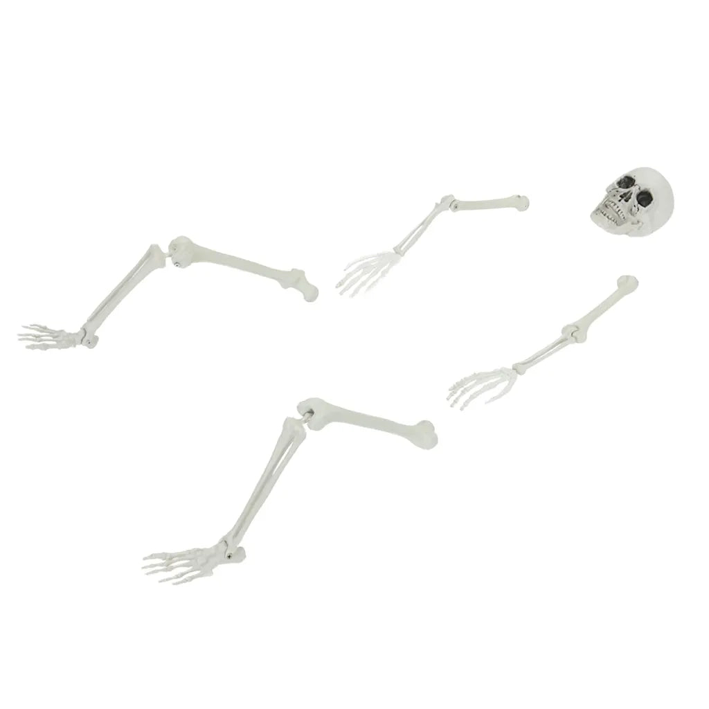 Scheletro di Halloween con punte da terra Bianco 45,5 x 13 cm CFW9049468