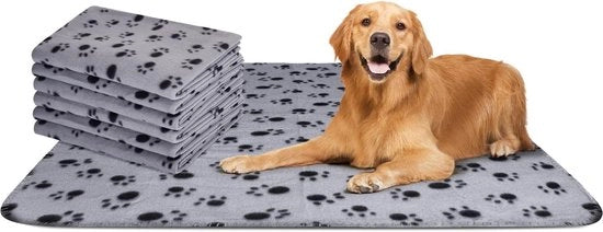 Set di 6 deken per cani e gatti, 75 * 75cm, set di 6 deken per cani, degenza per animali da compagnia, set di 6 deken per cani e gatti, 75 * 75cm