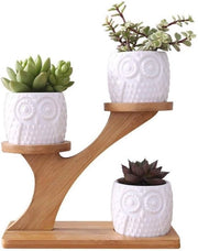 Set di vasi ceramici con disegno uccelli - Set a tre livelli con manici in bambù - Per giardino e soggiorno - 3 pezzi