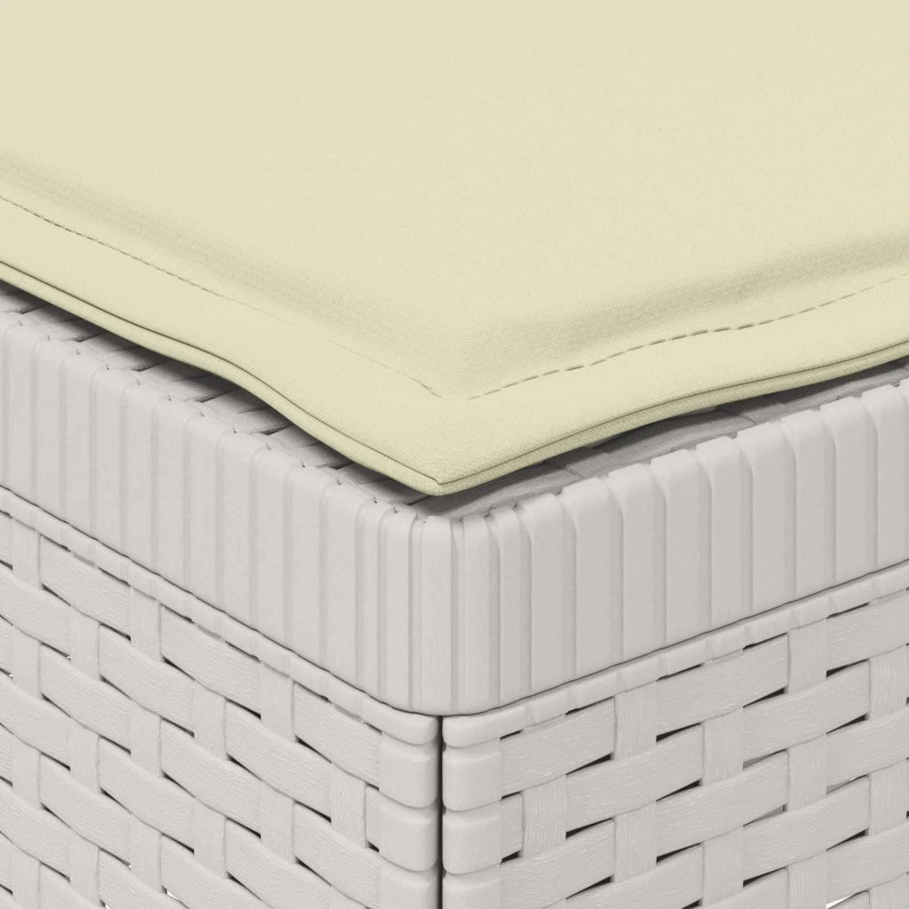 Divano da Giardino a 1 Posto con Cuscini Aspetto Rattan PP 8011840