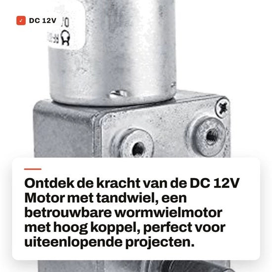 Motore elettrico a corrente continua 12V - a ingranaggi - a corpo interamente metallico - 6 giri al minuto - motore elettrico con regolatore - progettazione duratura