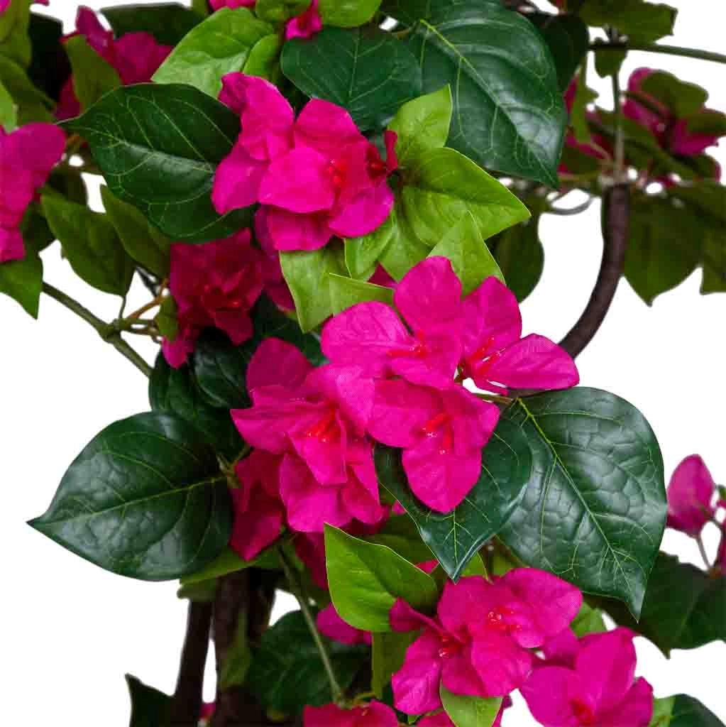 Camelia decorativa 180x180x210h cm