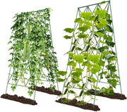 Rankrooster metallico per pomodori e piante rampicanti - set da 2 pezzi