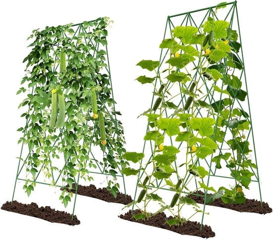 Rankrooster metallico per pomodori e piante rampicanti - set da 2 pezzi