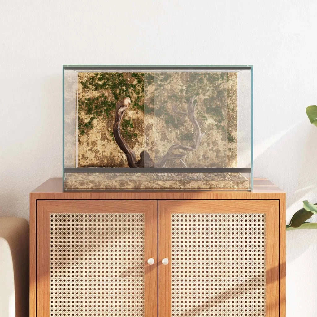 Terrario con archiviazione Trasparente 60 x 40 x 40 cm Vetro CFW6758429